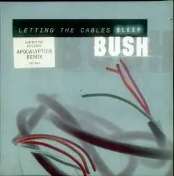 Bush : Letting the Cables Sleep
